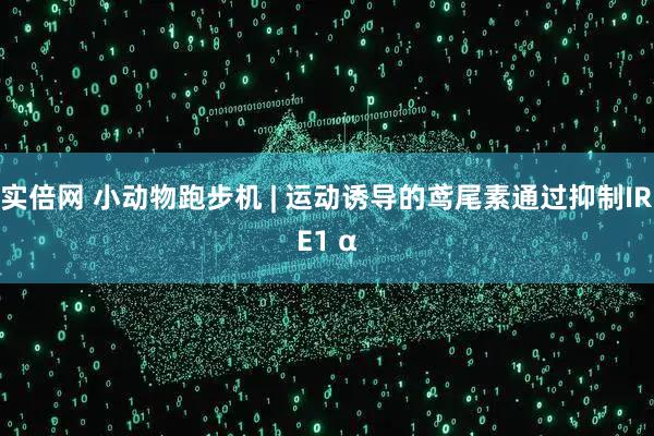 实倍网 小动物跑步机 | 运动诱导的鸢尾素通过抑制IRE1 α