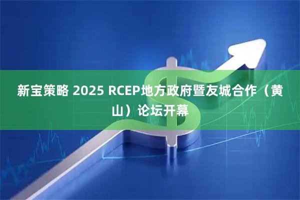 新宝策略 2025 RCEP地方政府暨友城合作（黄山）论坛开幕