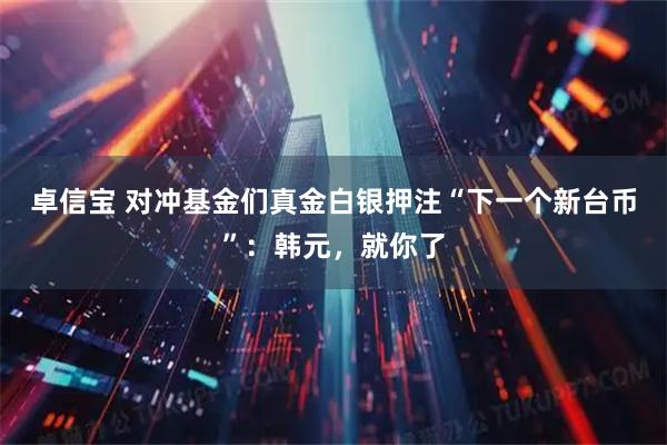 卓信宝 对冲基金们真金白银押注“下一个新台币”:韩元,就你了
