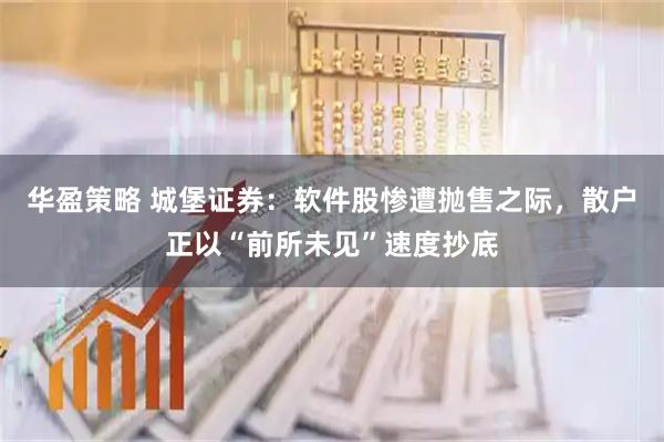 华盈策略 城堡证券：软件股惨遭抛售之际，散户正以“前所未见”速度抄底