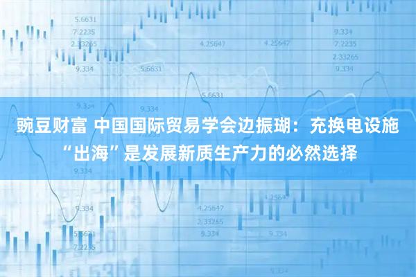 豌豆财富 中国国际贸易学会边振瑚：充换电设施“出海”是发展新质生产力的必然选择