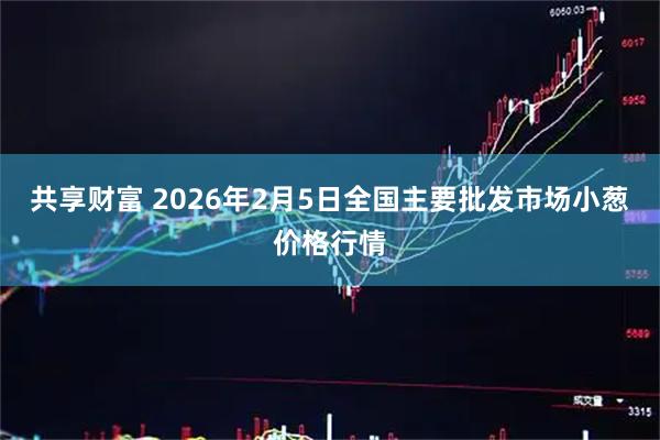 共享财富 2026年2月5日全国主要批发市场小葱价格行情