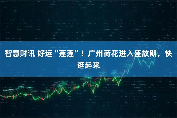 智慧财讯 好运“莲莲”!广州荷花进入盛放期,快逛起来